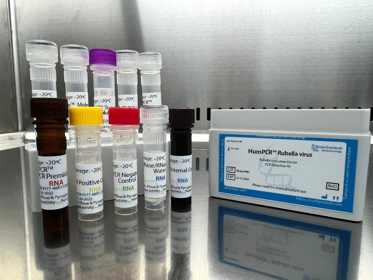 Rubella virus PCR kit