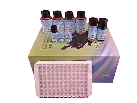 Rat Cathepsin Antibodies ELISA kit